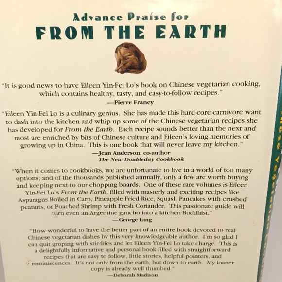 FROM THE EARTH Chinese Vegetarian Cooking - Picture 2 of 15